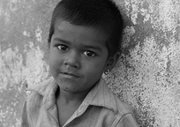 手机号轰炸机网页版